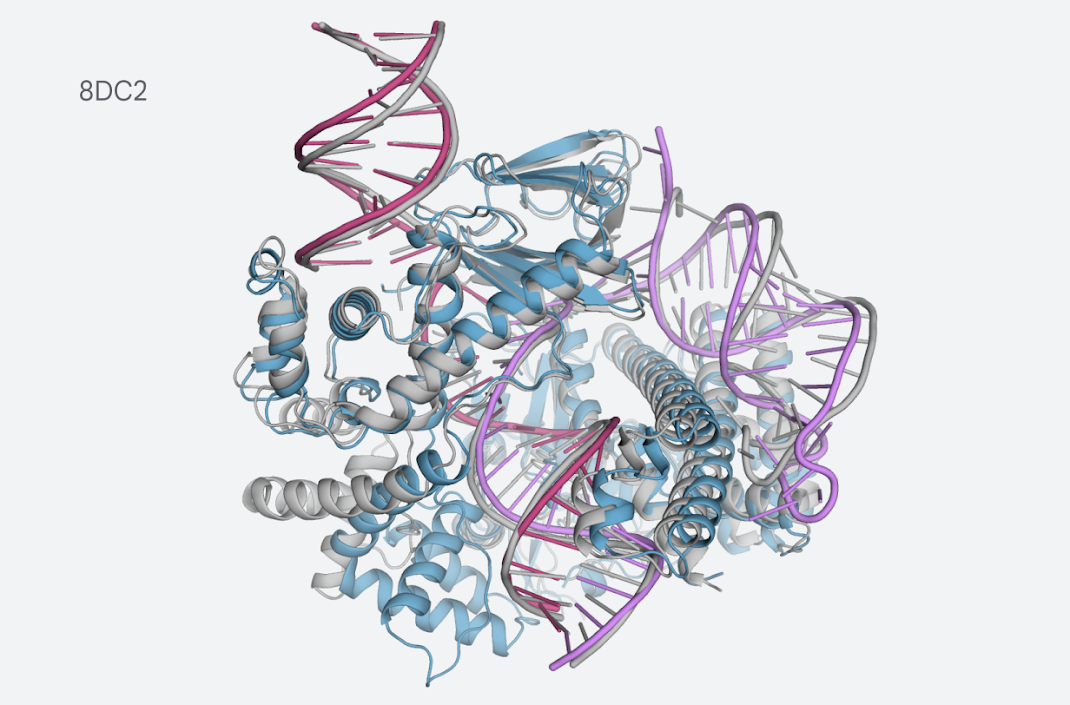 The latest AlphaFold model now covers a variety of biological molecules Post feature image