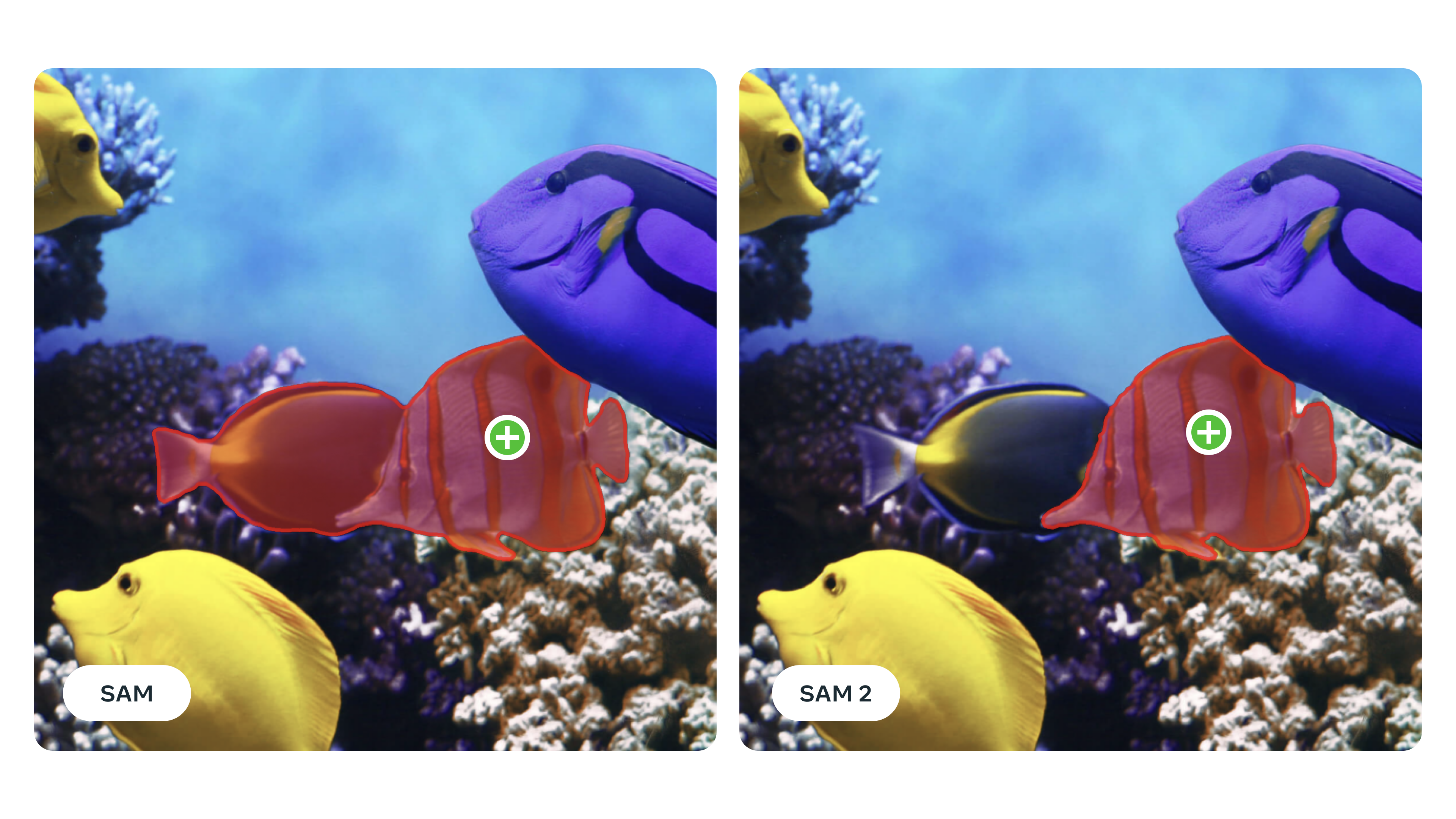 Meta's SAM 2 brings unparalleled image and video segmentation performance feature image
